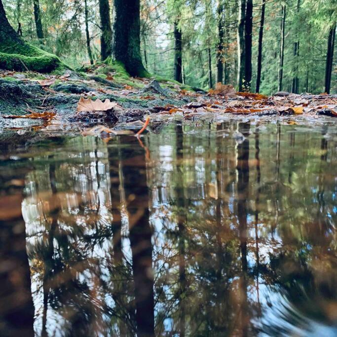 Panoramavy Naera Gbg Och Natur Olofstorp Zewnętrze zdjęcie