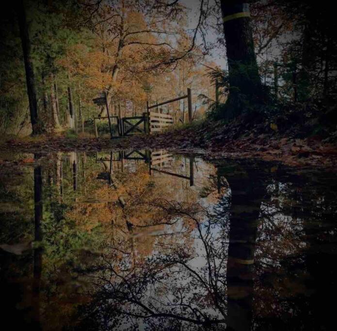 Panoramavy Naera Gbg Och Natur Olofstorp Zewnętrze zdjęcie