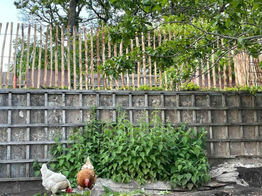 Panoramavy Naera Gbg Och Natur Olofstorp Zewnętrze zdjęcie