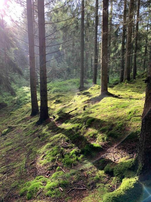 Panoramavy Naera Gbg Och Natur Olofstorp Zewnętrze zdjęcie